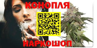 ALPHA-PVP Партизанск