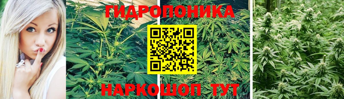Шишки марихуана тримм  Марихуана LSD WEED  Канабис Bruce Banner  Вход с VPN  Таганрог 